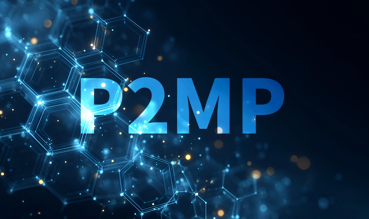 Point-to-Multipoint (P2MP)