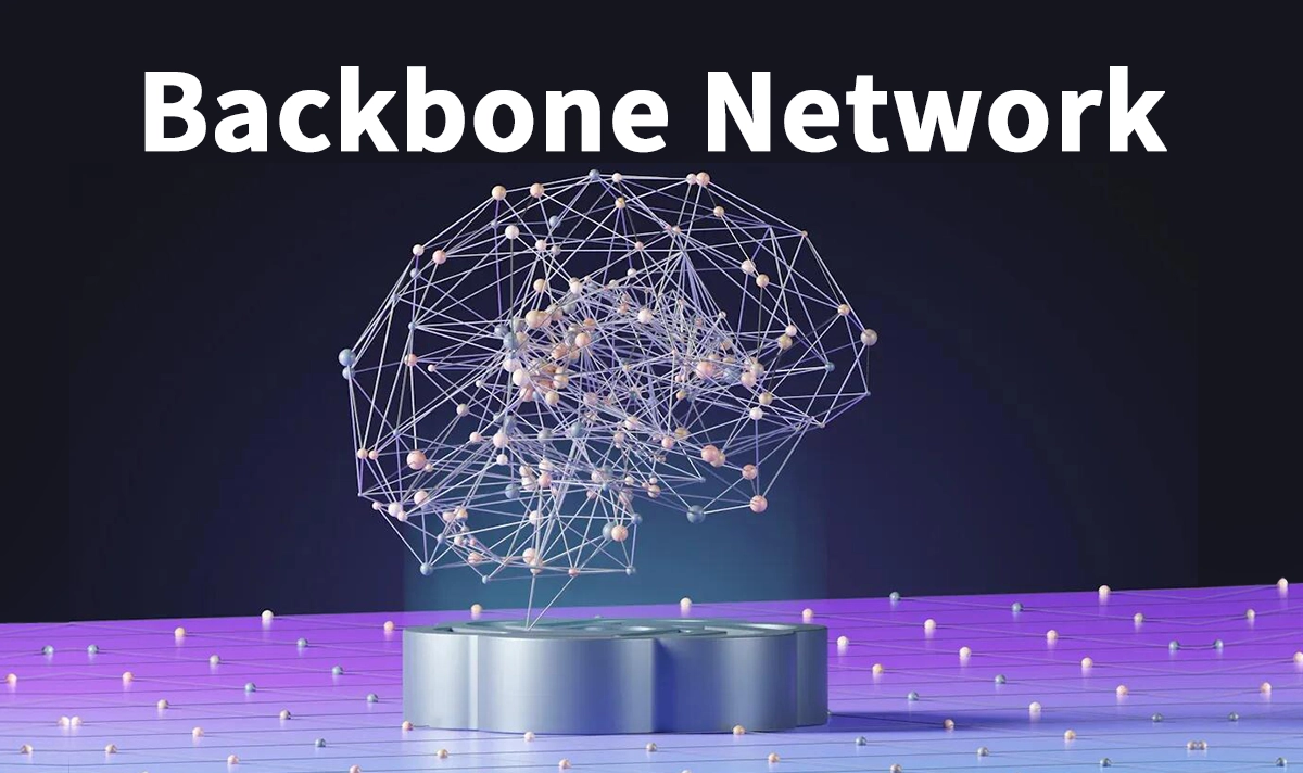 What is Backbone Network?